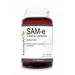 SAM-e S-Adenosyl-L-Methionine 120 kaps